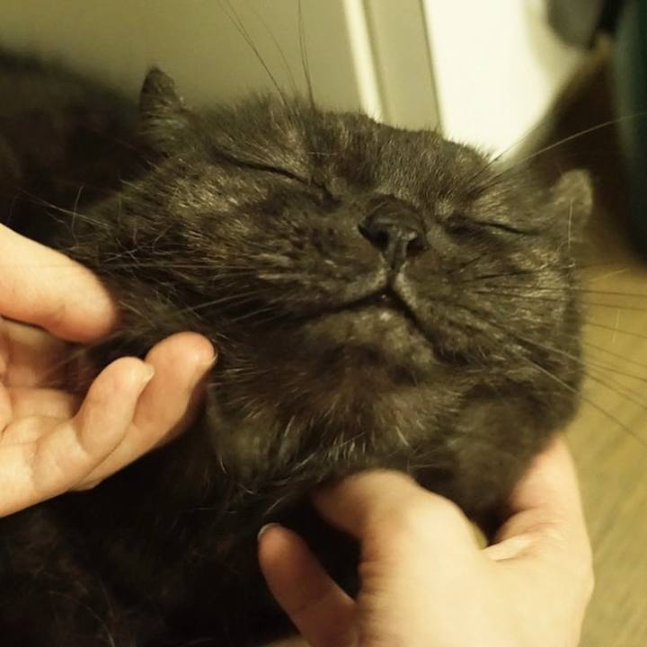 7e143eaf 7a14 4a04 aa93 695f872a6dda 1569251845488