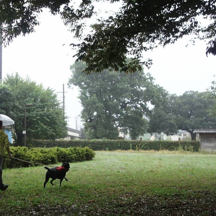 7e1492c2 e0e9 45c8 8314 4c38e82c5124 1665709402704