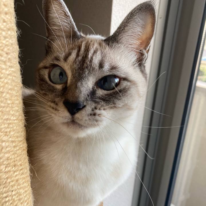 7e1556b9 436e 4467 96c3 1689feefcdcb 1604883804988