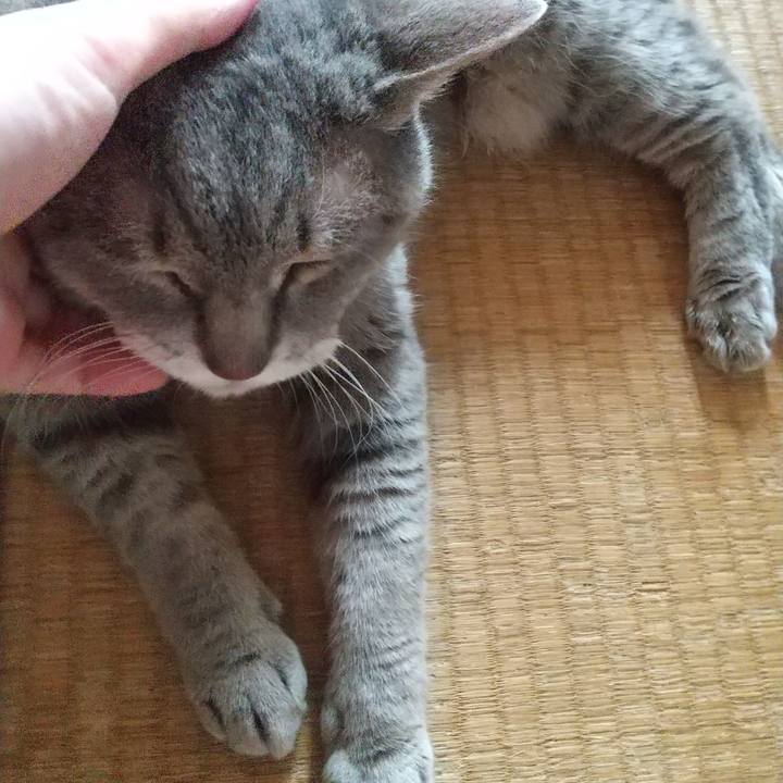 7e155f21 617f 44fa a706 a8f1b6a0332c 1656989670754