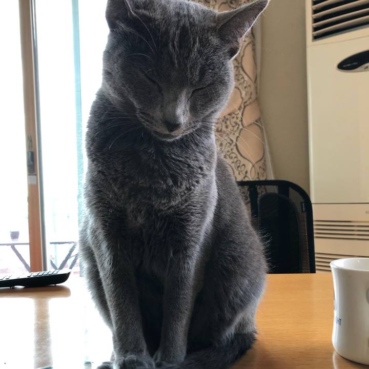 7e156340 1862 4e00 9fdd 17d17ed5716b 1571374234357