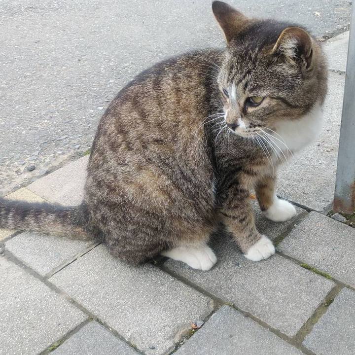 7e15695c effb 4372 9670 c5c4495e03b3 1589242630148