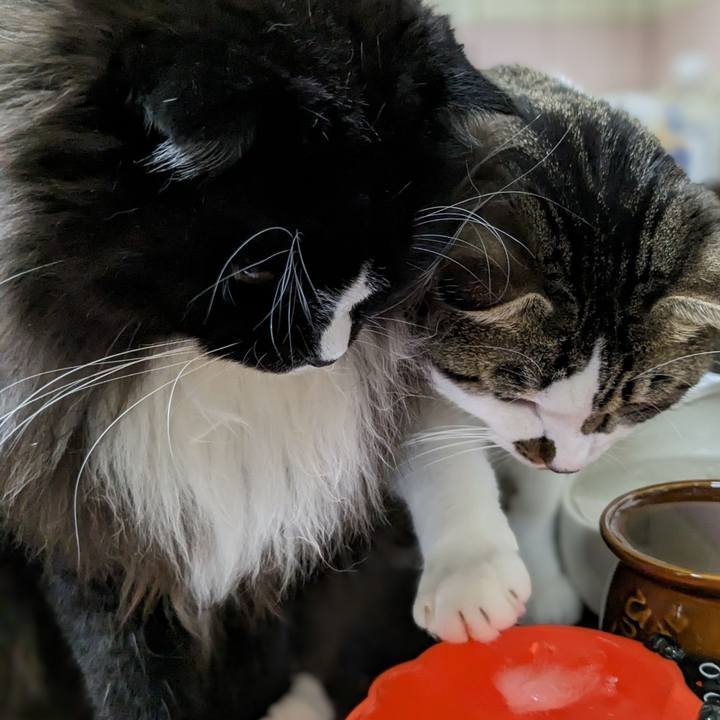 7e1573ce 6021 47dc b98a e94838d66f59 1692372912198