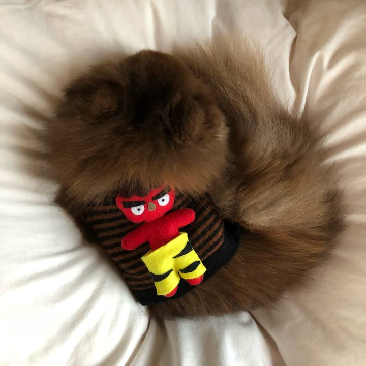 7e157c76 a135 4413 acf9 e0d8b94d071f 1549171442370