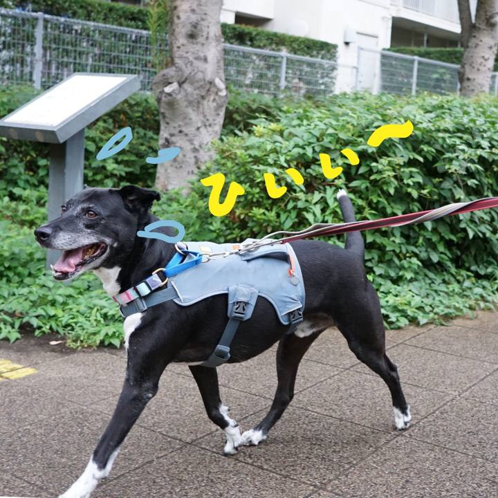 7e158ea4 85fc 493d 91a0 23533cbfebe0 1759624364641