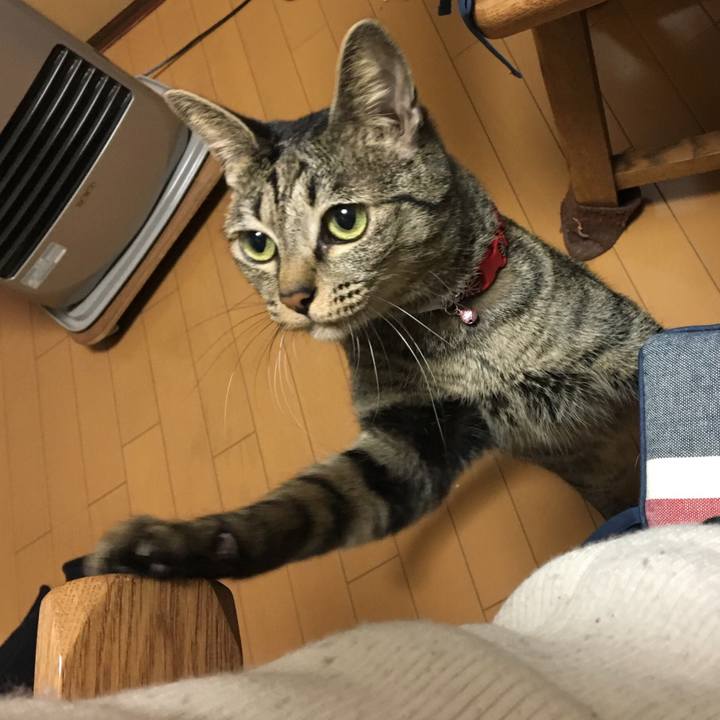 7e159bad 4cbb 46ec 93dd f82fbdb44a81 1542586511229