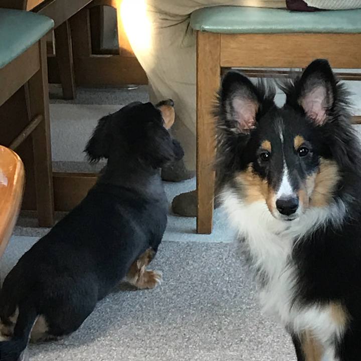 7e15c8cc a979 4fb5 8af9 f6f151e439e0 1518644793173