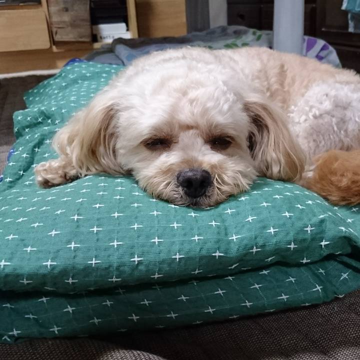 7e15d661 7b57 488e 86c0 0033660ccd6a 1532518770495