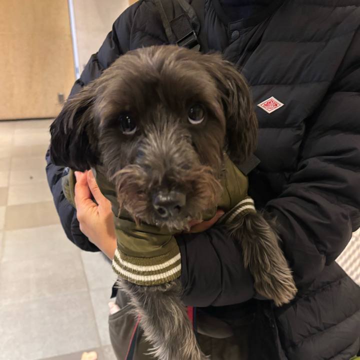 7e15e86f 6e20 4496 a6d3 234297addc19 1763855562700