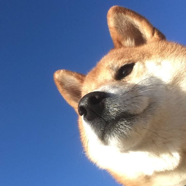 7e15f395 228e 4fee bef1 3b6ff6c81977 1546535358709