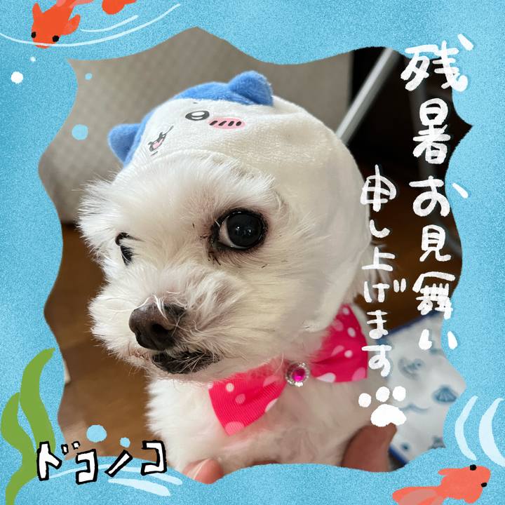 7e164ecb 5cf0 4b88 89f4 798322572b21 1723205658480