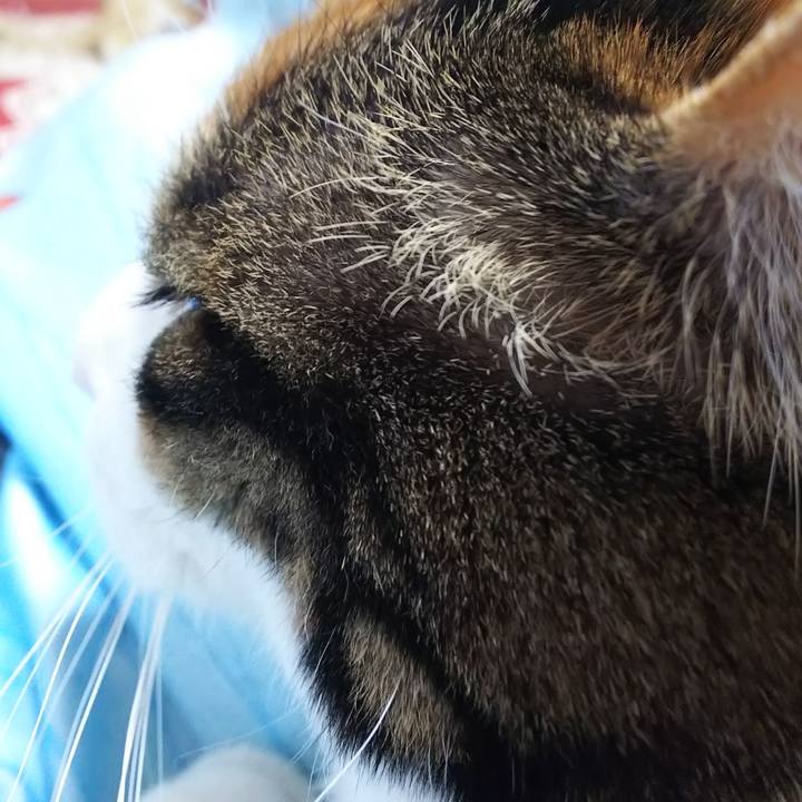 7e1656e6 bae0 429e b38a 207ab48f9a96 1584333564705