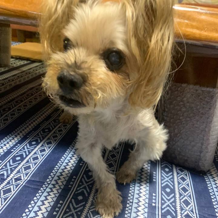 7e1671b8 979a 4926 a53e b044b6be66e2 1689157512978