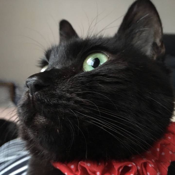 7e167f57 76df 4d58 aa5f 350a1dd83c89 1570048707516