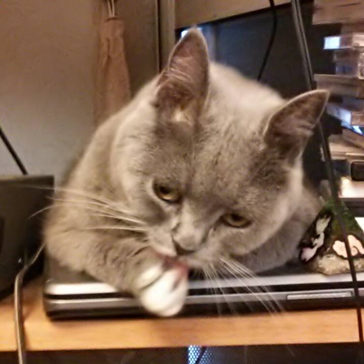 7e169bbb 6a66 4ccd adb1 9947677506a3 1559433211633