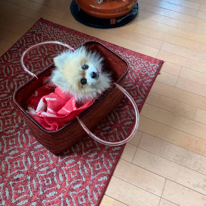 7e16bf64 4cf4 42b1 86d7 cf8b48336a0c 1671330175240