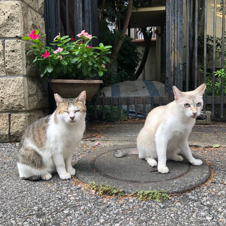 7e17080c a82b 46ea 848c eb2ac08f4f30 1567175024043