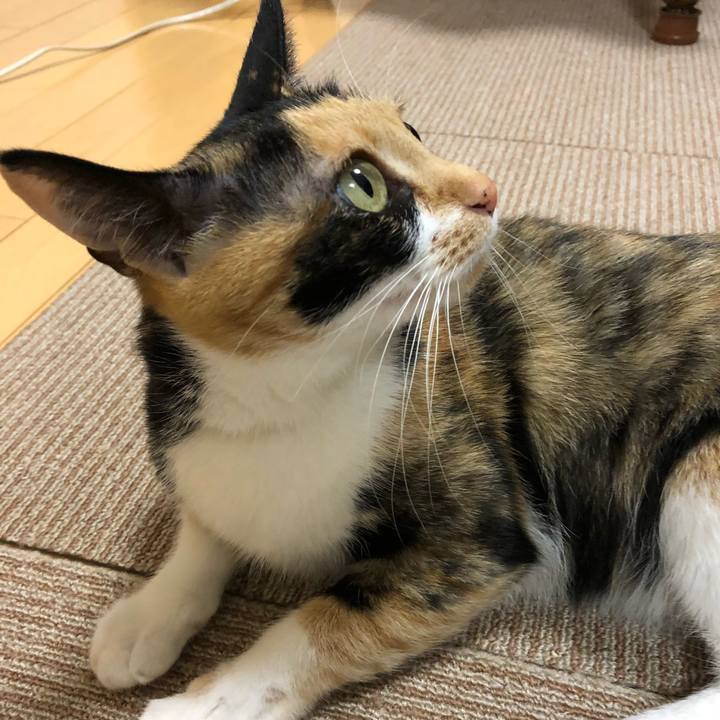 7e170e94 8009 4efe a8a8 a8ed9e4f2f56 1525086190989