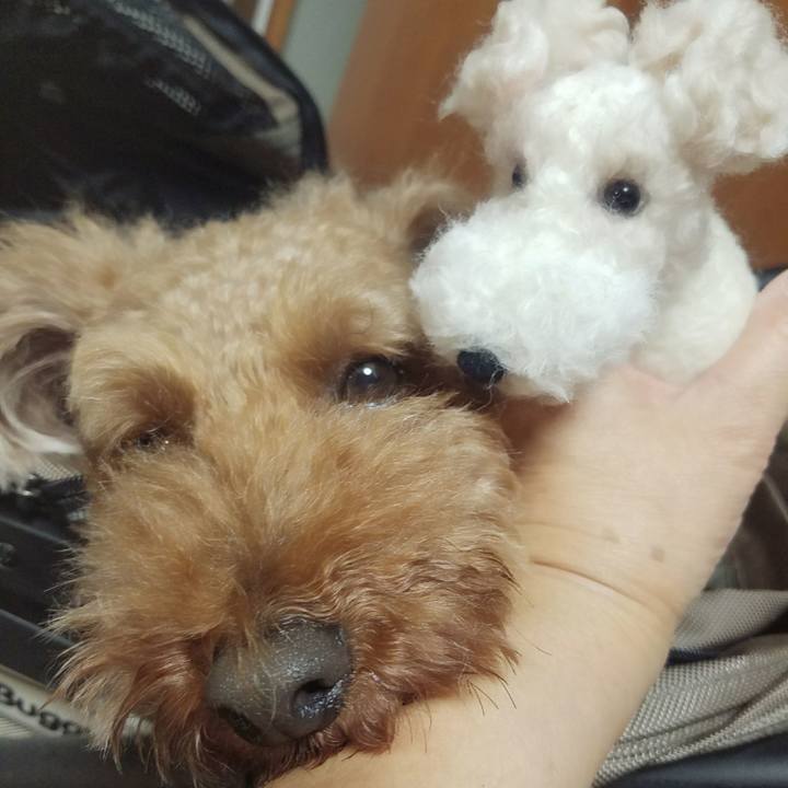 7e171c38 a6a4 4cfe 940f 2487f2cd5811 1507984159715