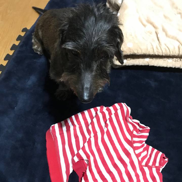 7e17217f 3fa0 461d a325 49d7c1172f1a 1546790079760