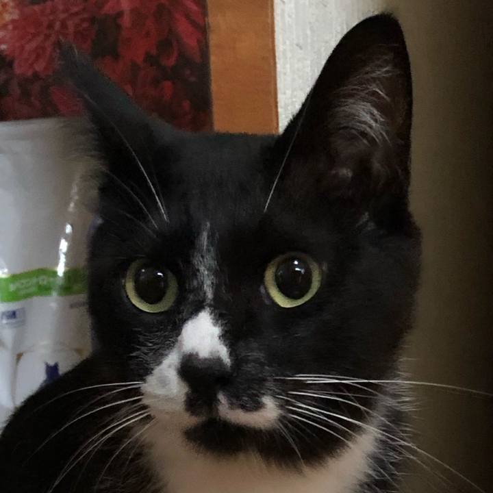 7e1721e2 f019 461d 990a e11dda6511ec 1595645183538