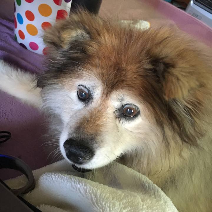 7e172807 d38e 4950 9ef0 62d33b39ee31 1608523858195