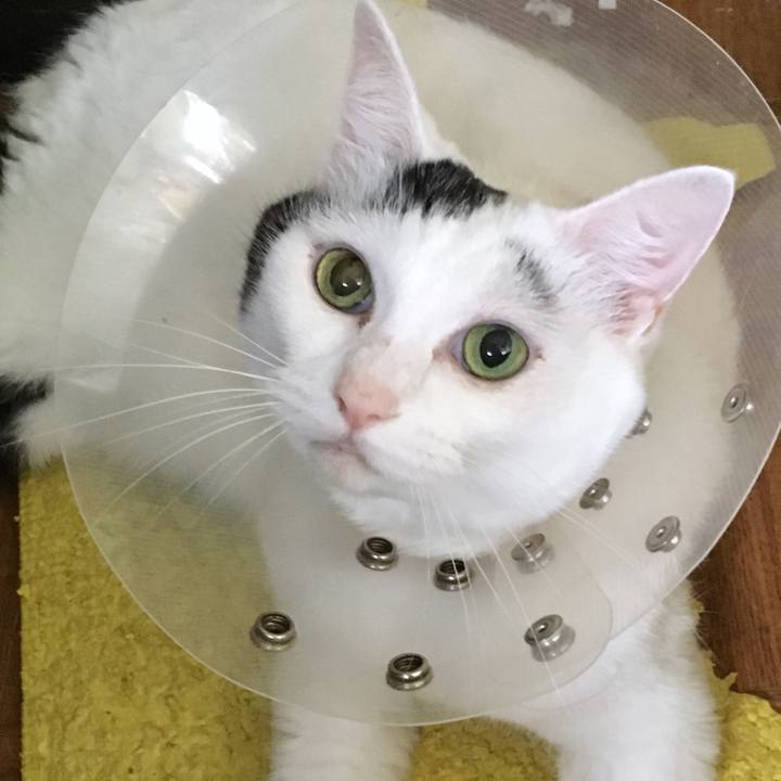 7e172d2f accf 429a b011 28f803998bed 1568089315256