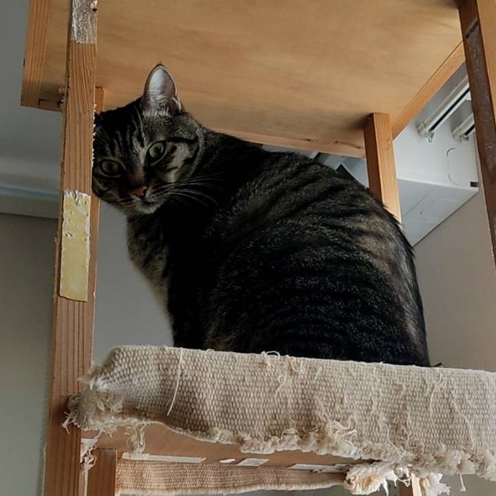 7e173a3d de1b 4ebe 88e3 d4e5e5e89046 1608262543431