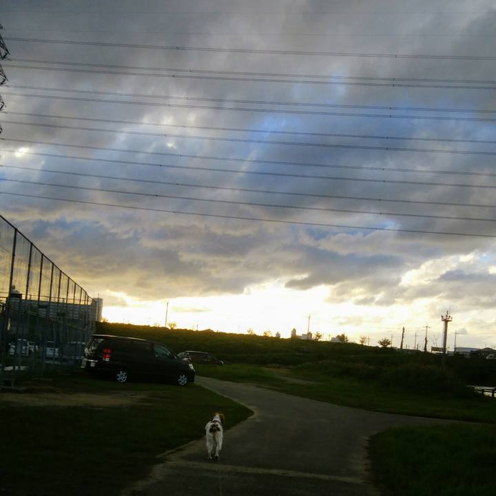 7e176434 9861 442f 8242 6817e63f3faf 1538826102267