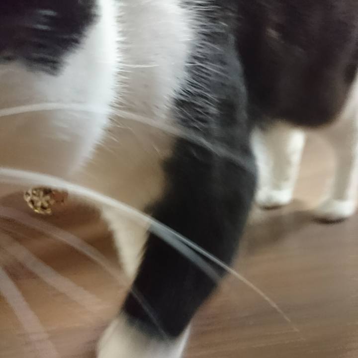 7e17afd4 35b7 4c56 b34e 8e50cc78c1ff 1604224598754