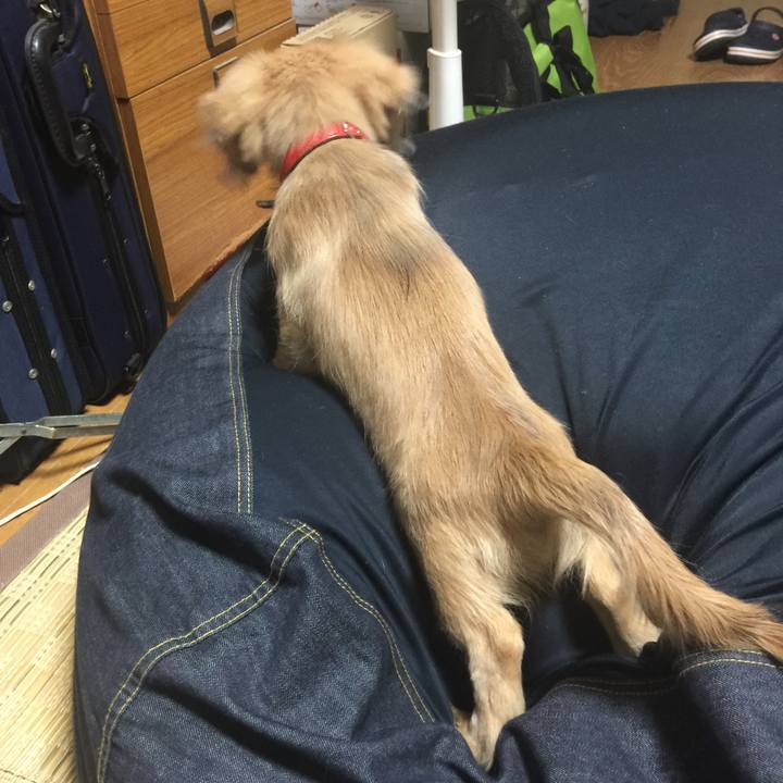 7e181dd0 25e5 42d4 9f56 65ecb59ad708 1610659731256