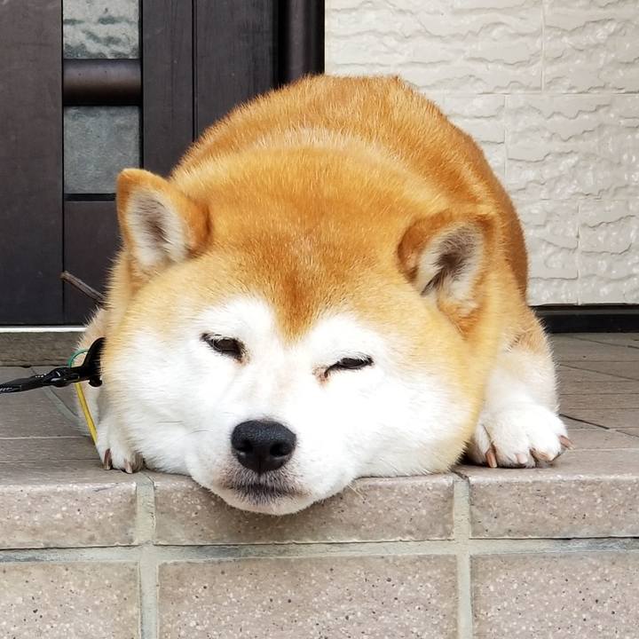 7e181e43 7727 4867 92e8 b8c3a324ac26 1590622414733