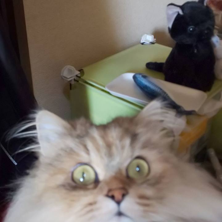 7e183824 7df7 4b6b afb1 af4a3f472a42 1611194104964