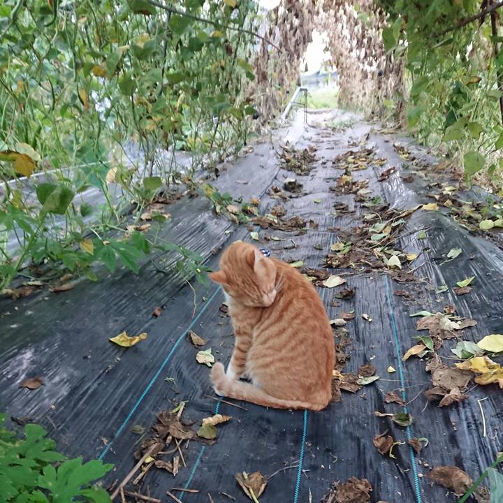 7e185c01 4555 4ff4 8280 1367b9a2512b 1568755401539