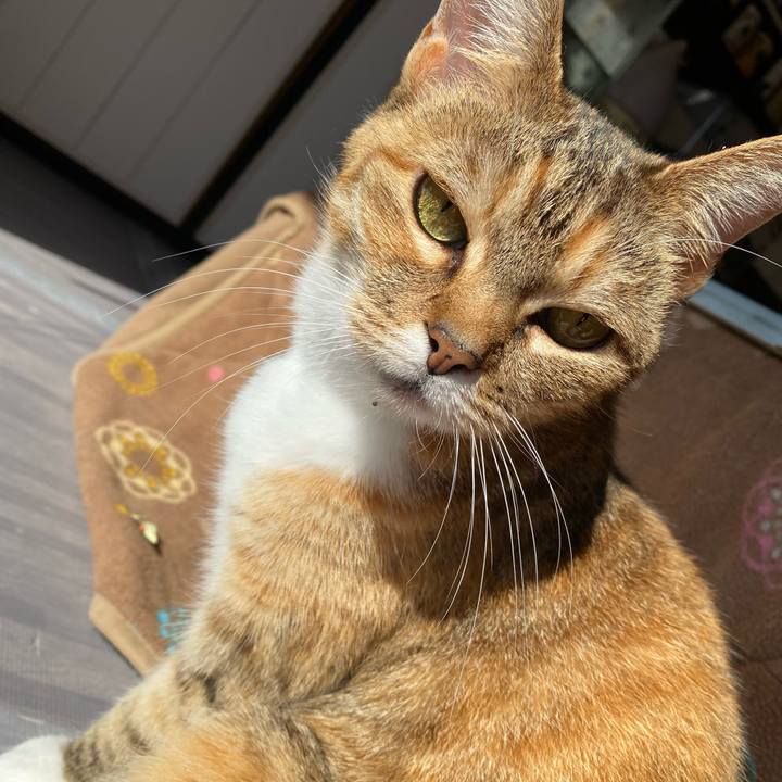 7e1871dc a7c8 4e6d 930e d56d158e2460 1613007624712