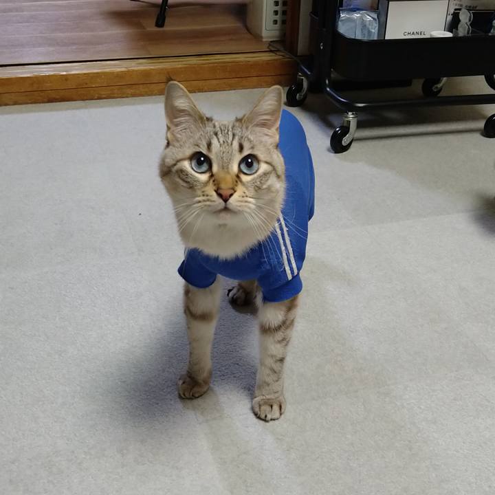 7e1894db bd26 44dc 9796 adb30ba80fd6 1681124774068