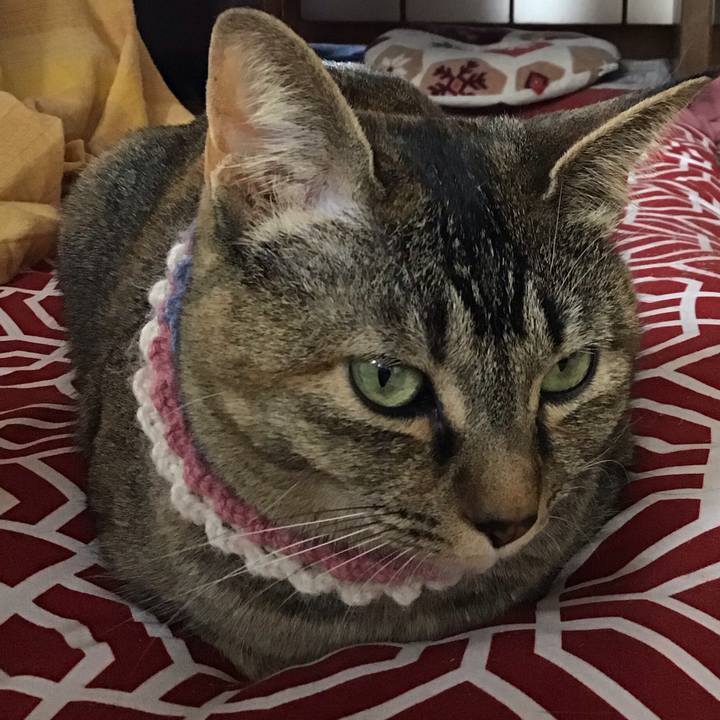 7e189e68 afb3 4fc7 922d cdb062e45419 1619328855213