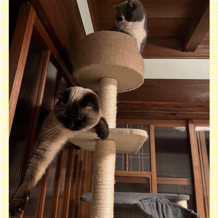 7e18c58b e227 4bd6 9b02 4dac982e2929 1642764641131