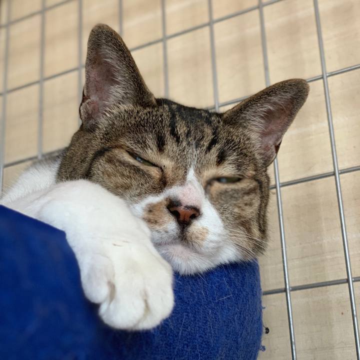 7e18dd86 4e89 4443 b043 39c6c3adcb5f 1565830829289