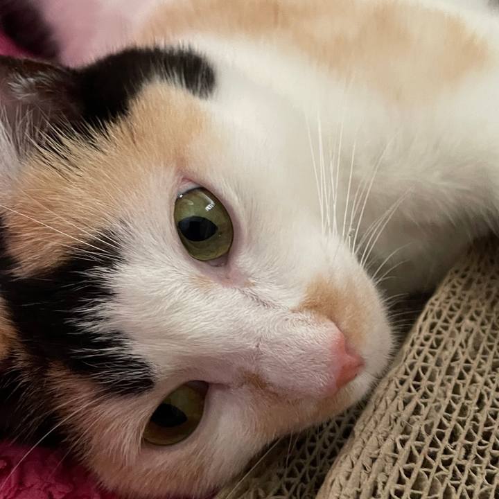 7e18e3c7 145c 4a5f a823 5eb6570fbfe4 1692952431089