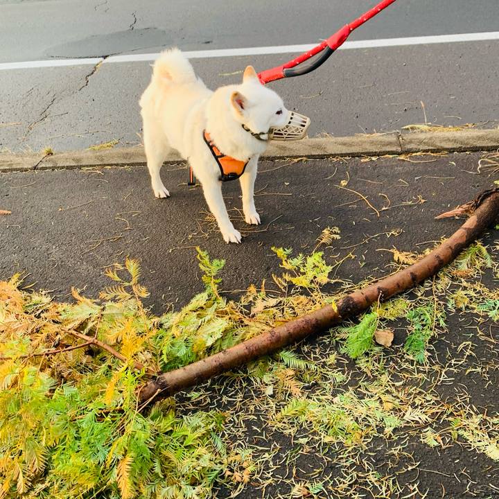 7e1909af 8842 4755 9c43 d005753401c8 1668465988078