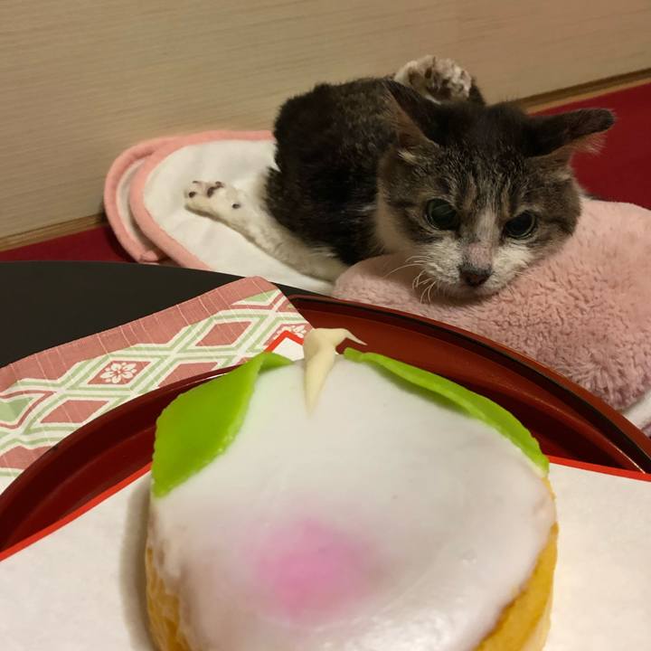 7e193972 2611 4c5d 8ca1 1fe64ea6d0ee 1677620657096