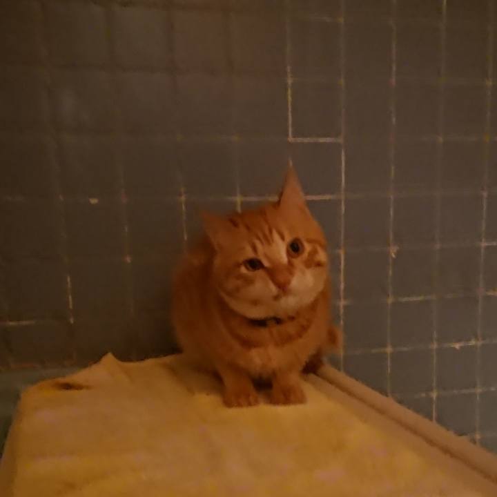 7e1994ee 6835 4460 9986 dd099ff32eed 1644920807877