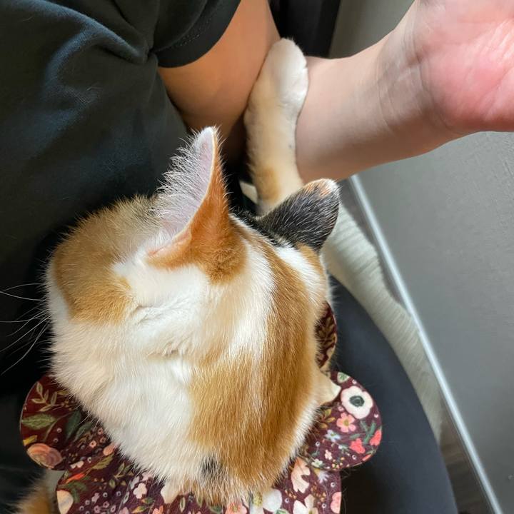 7e19986d d958 469e 8de5 05d31348506b 1760453921850