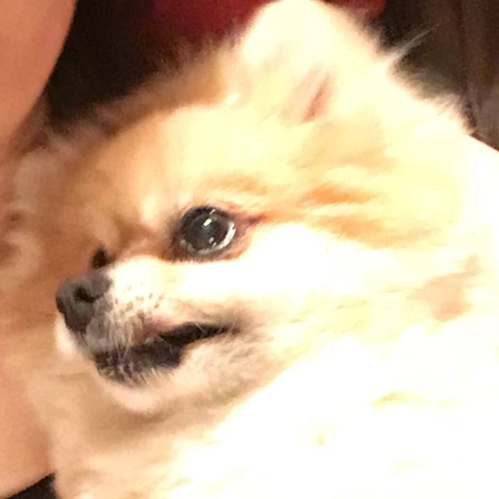 7e19b2ce 841c 44f1 be10 145544e257c1 1529995872156