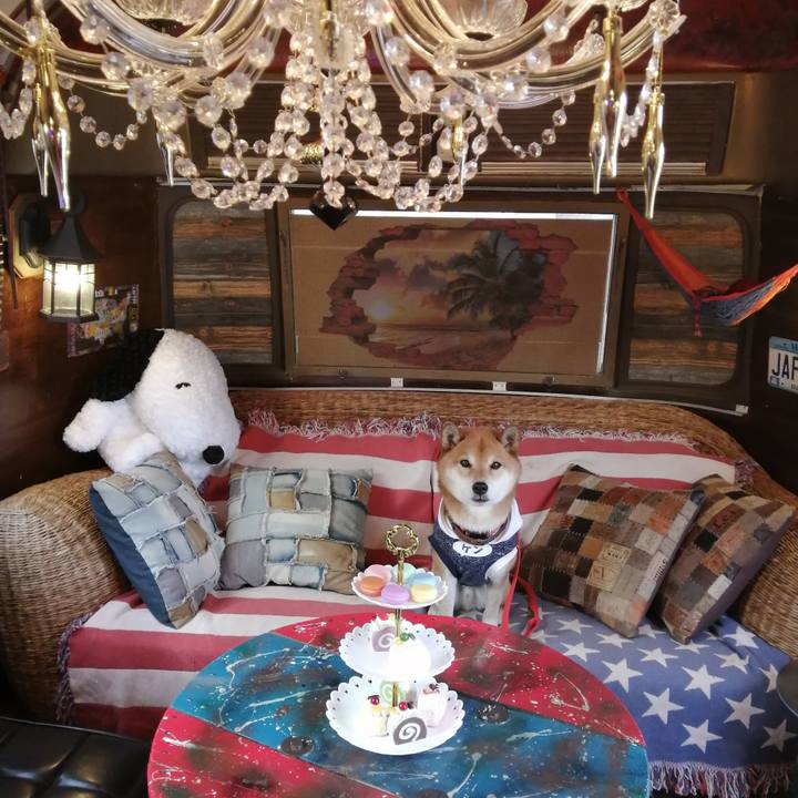 7e19c249 99de 4fdd 8cb3 8608b25d4367 1643465126770