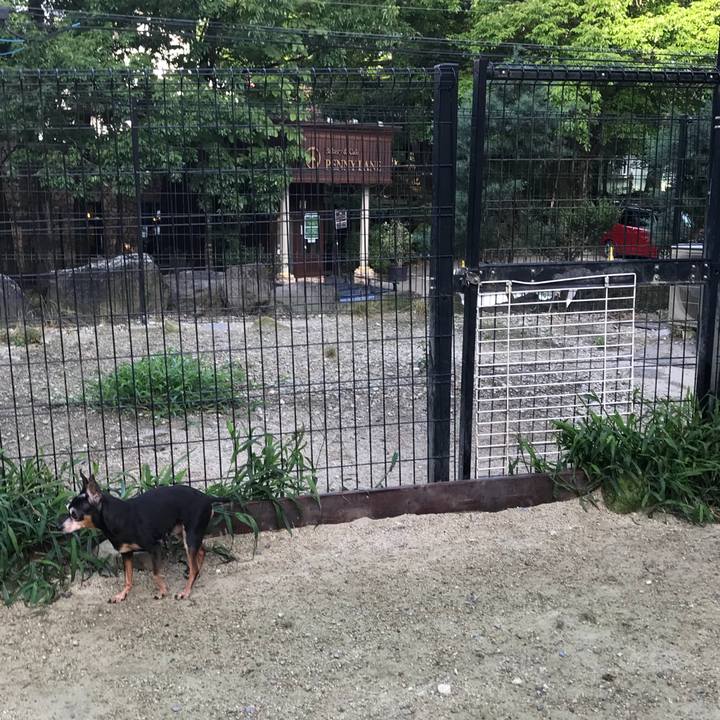 7e19e9c1 f6cb 49a6 a0e6 58a3de61fc70 1537191609199