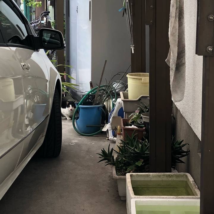 7e19ef2f c3a3 46c1 800a c4786500d080 1527776695406