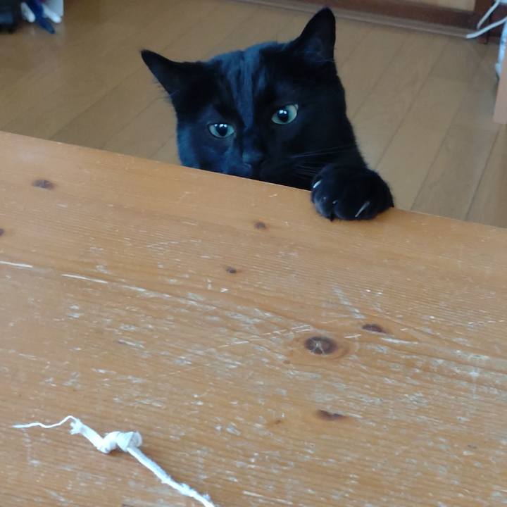 7e1a199d 484c 417a 9f62 317cba171a11 1651967516069