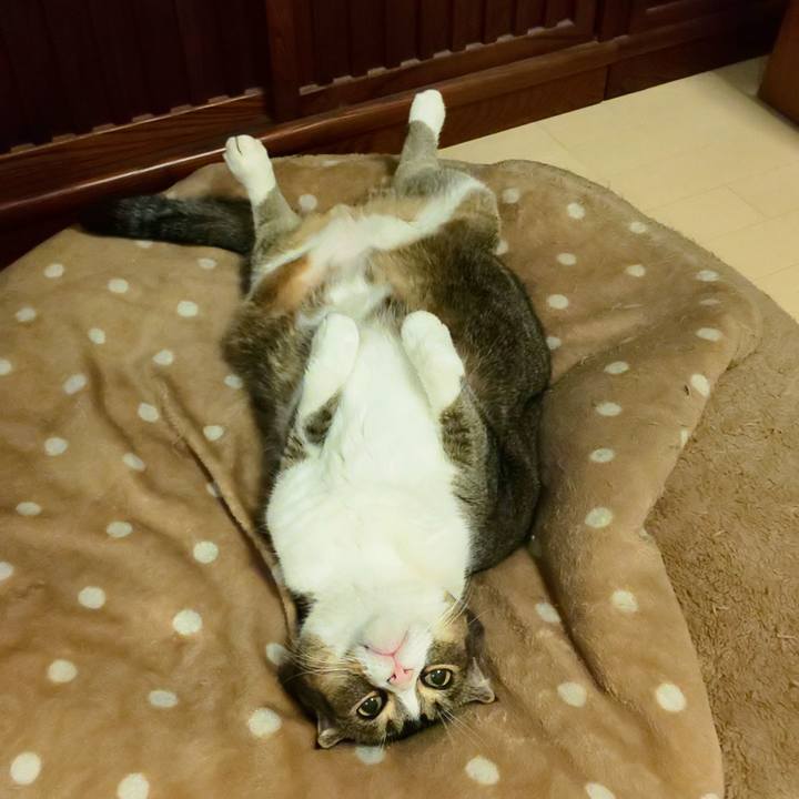 7e1a26d9 ee9e 4e05 82b1 7fb7783464d8 1697985063657